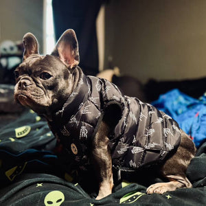 Dog wearing the Kids black puffer vest with Bolted Bones design featuring skeleton hand rock on graphic and lightning bolts, rocker style outerwear for kids